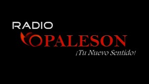 Radio VOPALESON