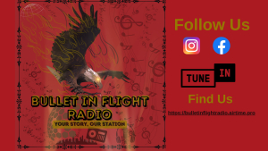 Bullet In Flight Radio