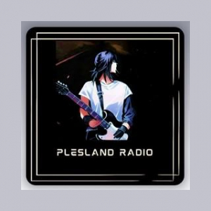 Plesland Radio